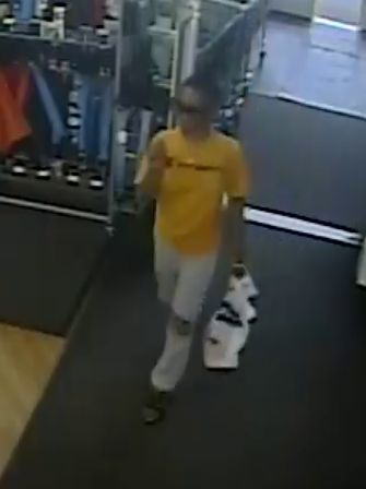 Fraud suspect